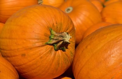 Is pumpkin good for weight loss